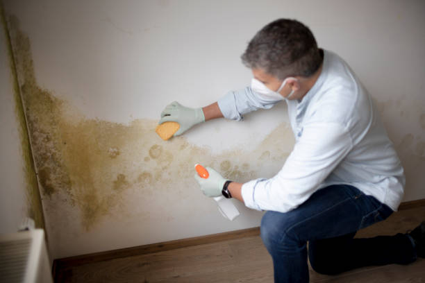 Best Real Estate Mold Inspection  in Martha Lake, WA